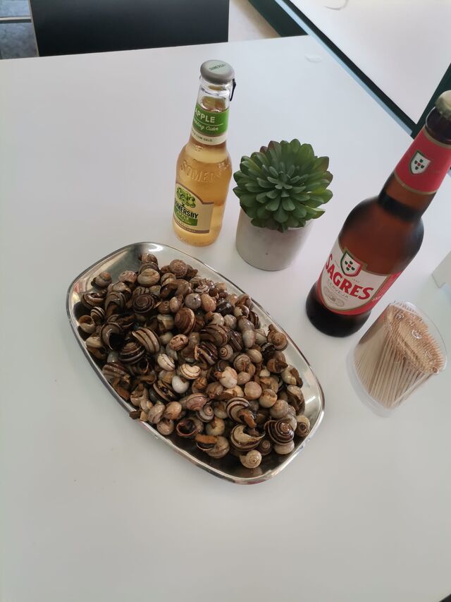 Caracóis!