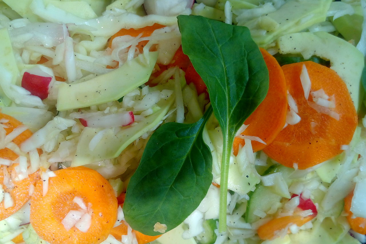 BĚHEM JARA A LÉTA SE SOUSTŘEDÍME NA LEHČÍ SALÁTY