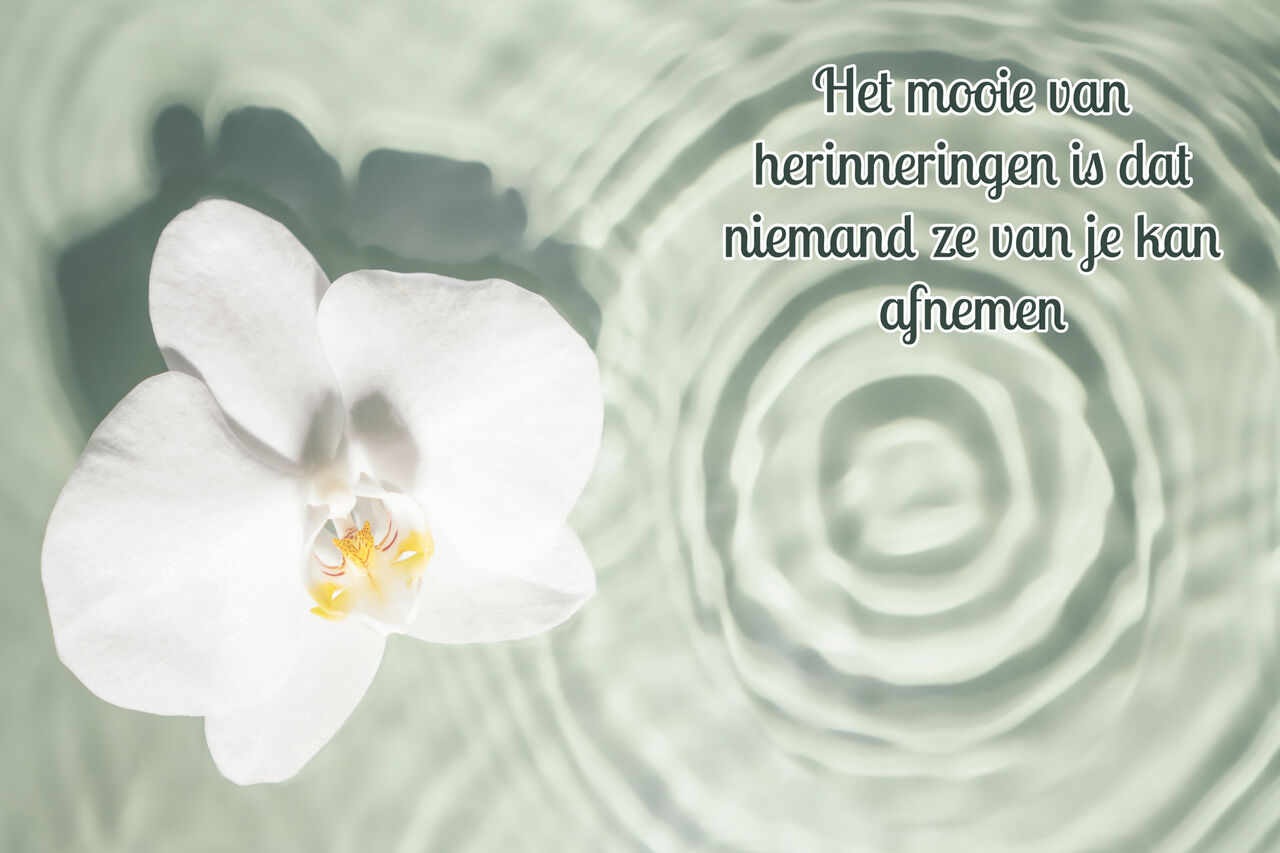 Afscheid nemen van uw dierbare