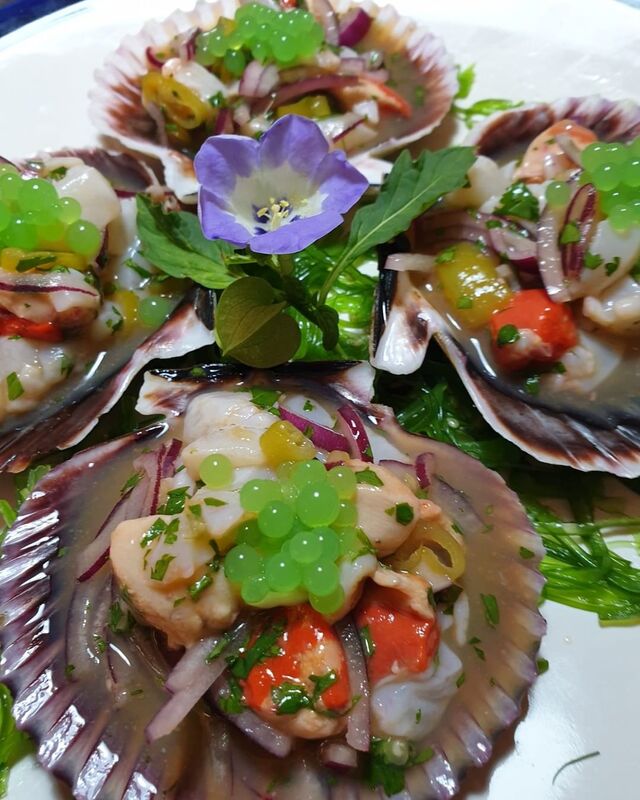 CEVICHE ZAMBURIÑAS