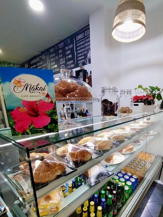 VARIEDAD DE PULGUITAS