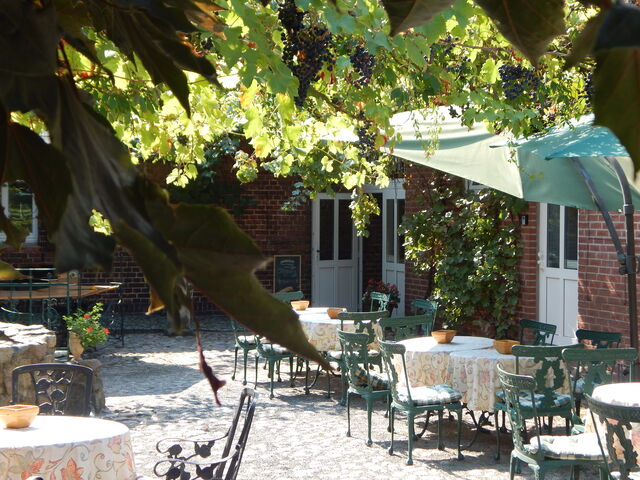 traumhaft - die weinberankte Terrasse mit Biergarten