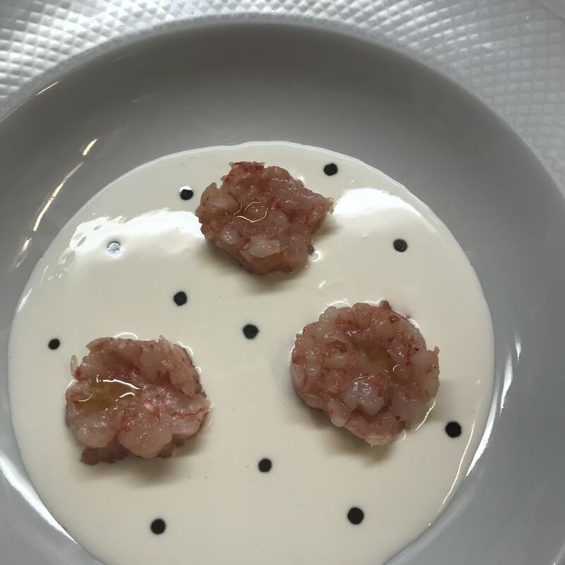 Tartare di gambero rosso di Mazara su crema di burrata e gocce di saba