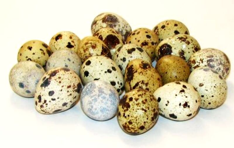 Яйце перепелине