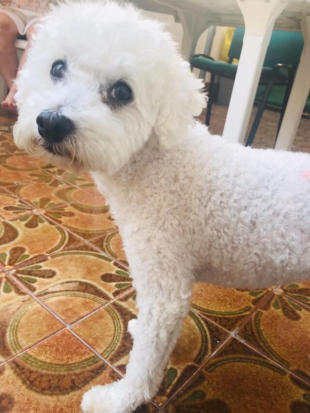 Pasamos el verano con compañía de Thor