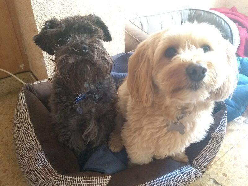 Lo pasan tan bien juntos 