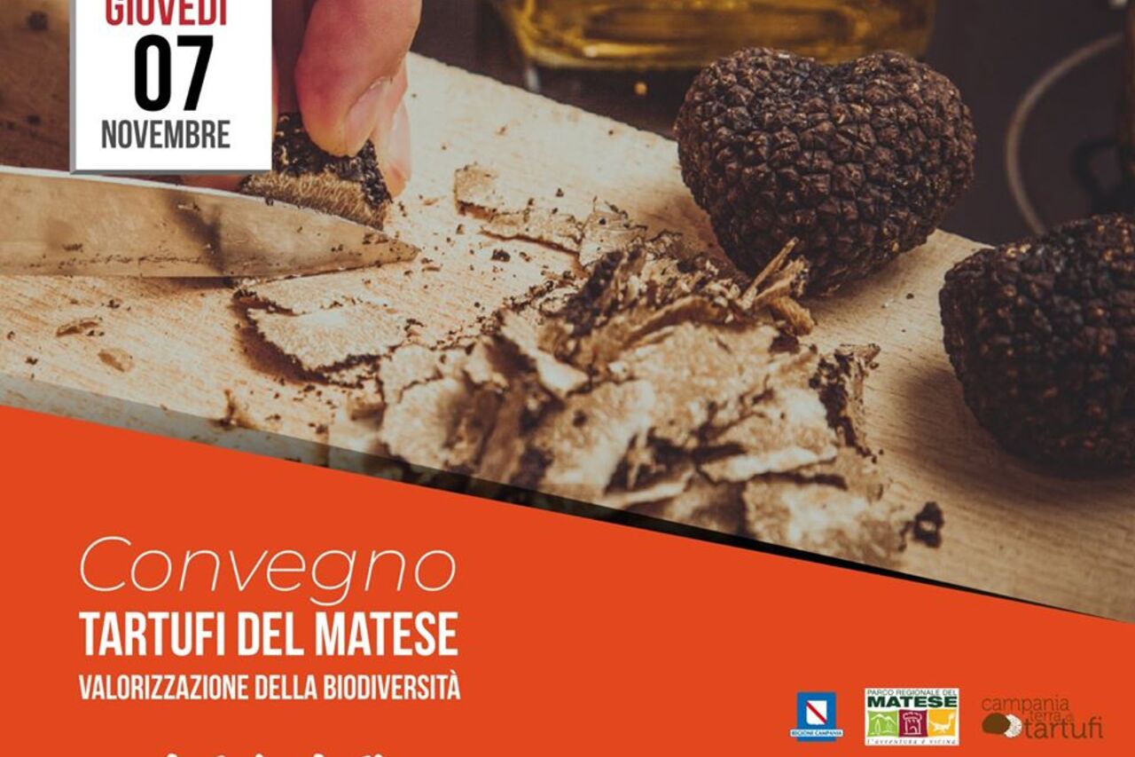 Convegno Tartufi del Matese