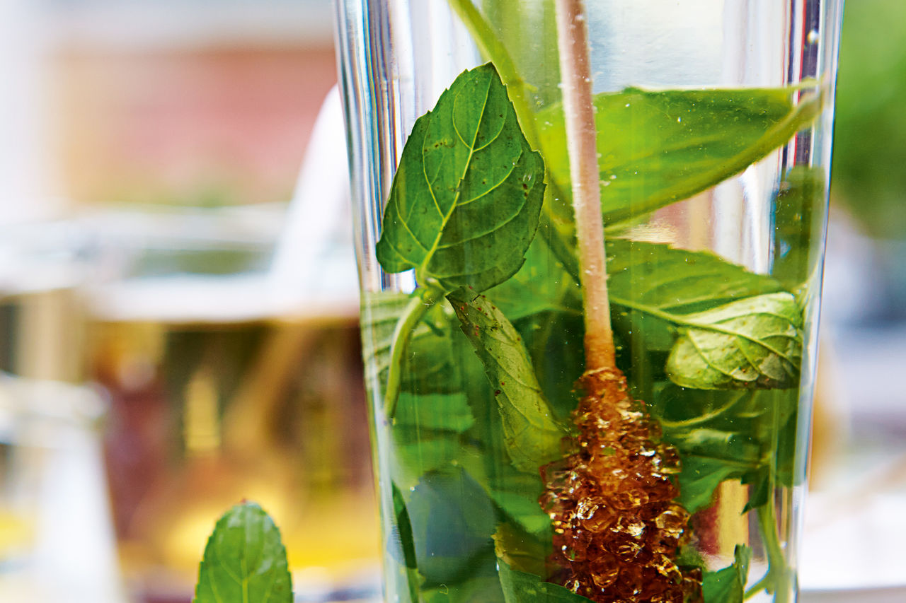 Klus badmeester keimpe