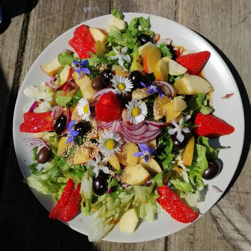 Le printemps en salade