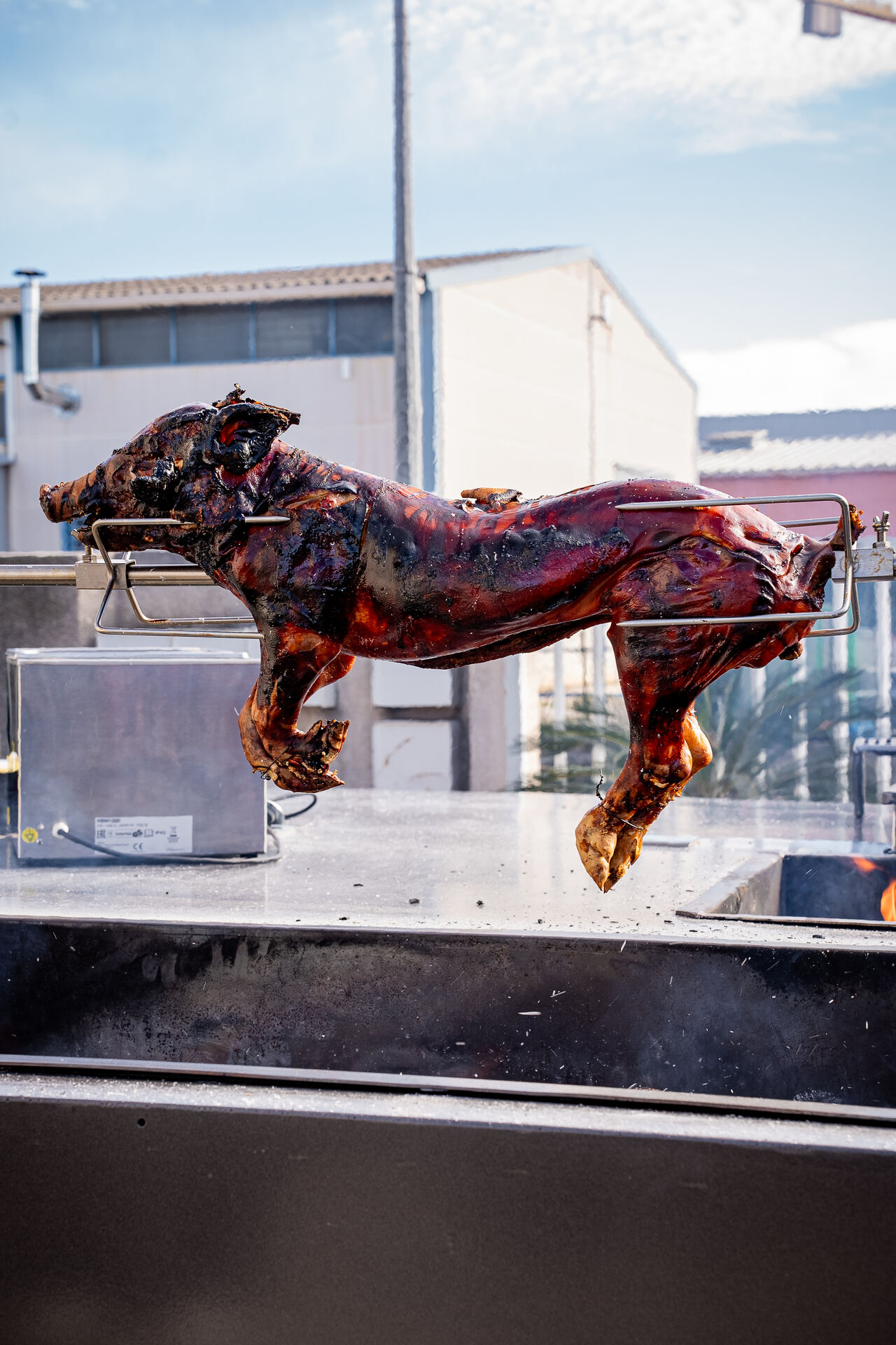 COCHON DE LAIT A LA BROCHE