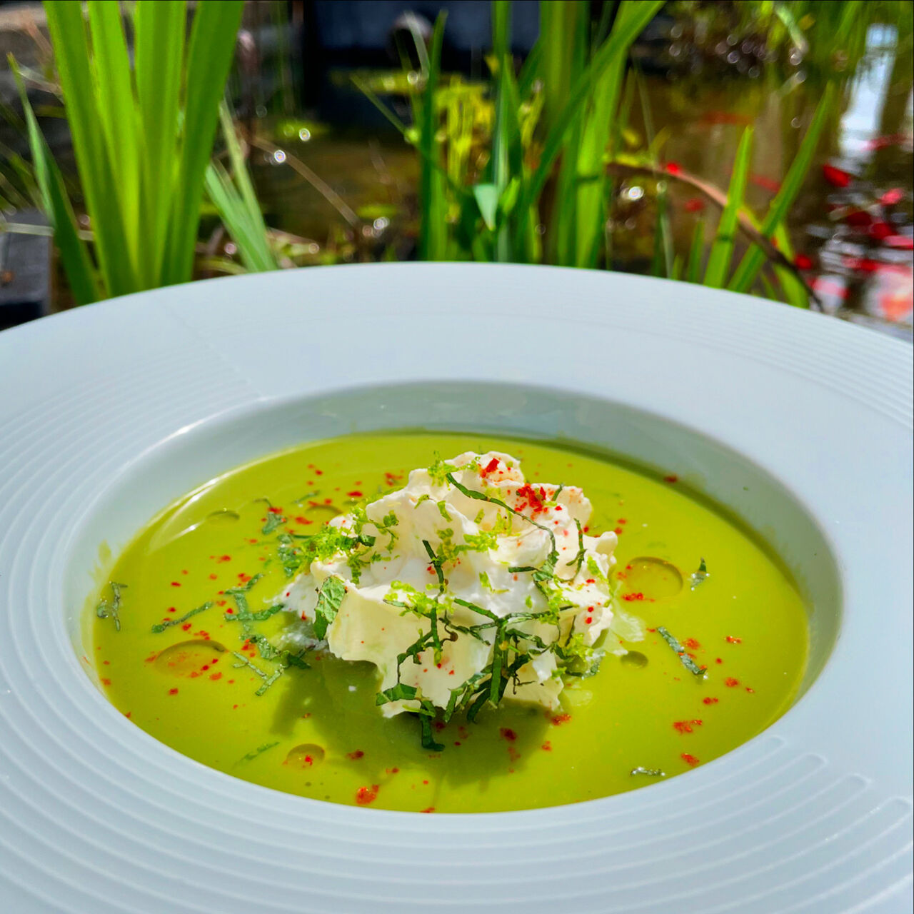 Cappuccino de petits pois à la menthe