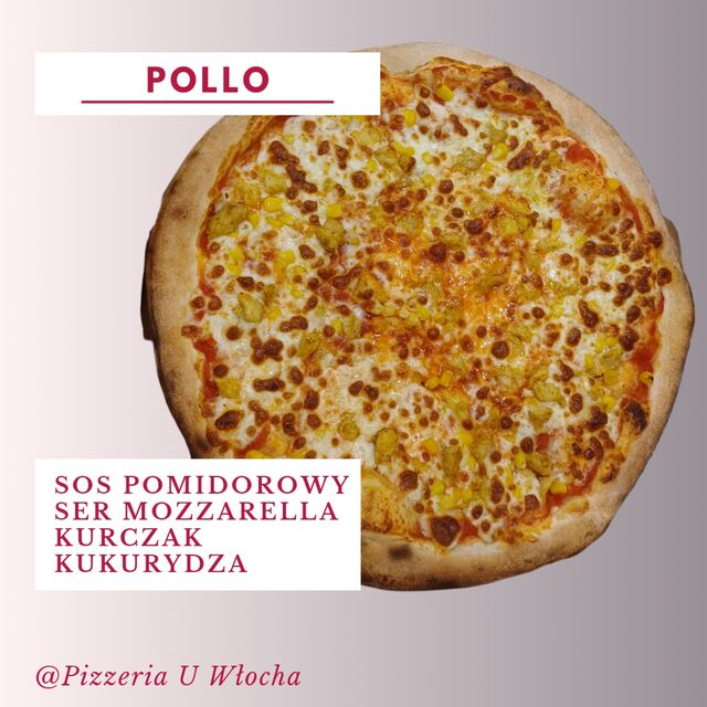 POLLO
