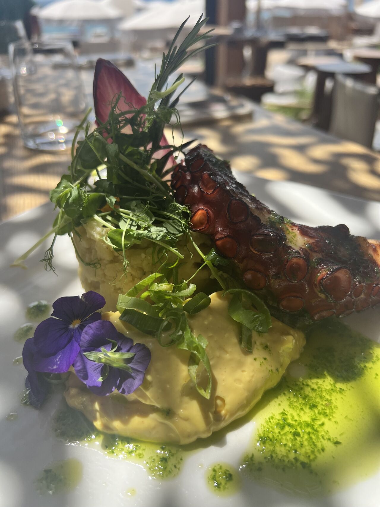 Tentacule de poulpe en douce Aïoli, écrasé de pomme de terre à l'huile d'olive et basilic