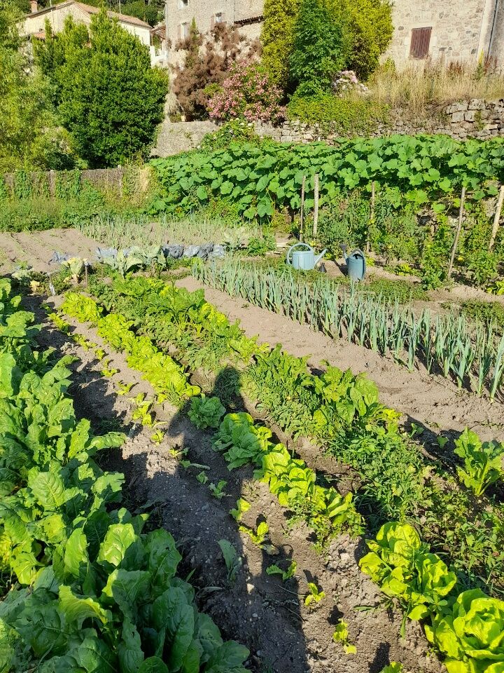 De la terre à l'assiette