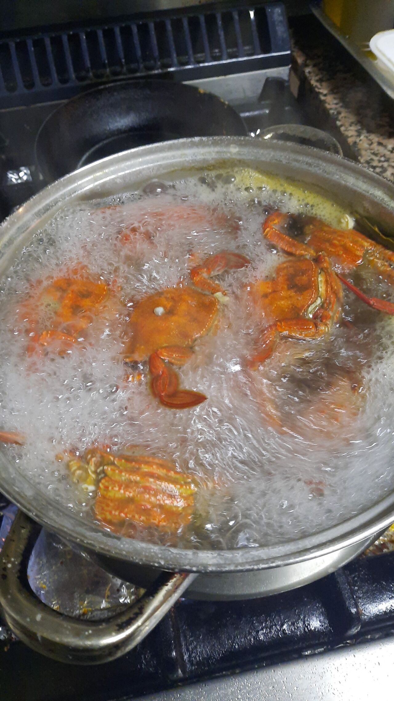 Las nécoras en el laboratorio 