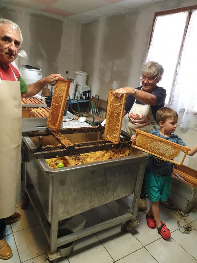 Récolte de Miel N°2