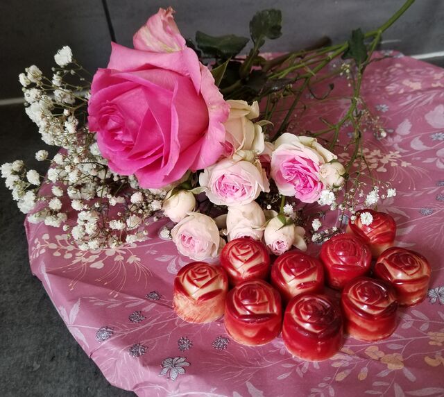 Ma rose rouge du jardin de Josette