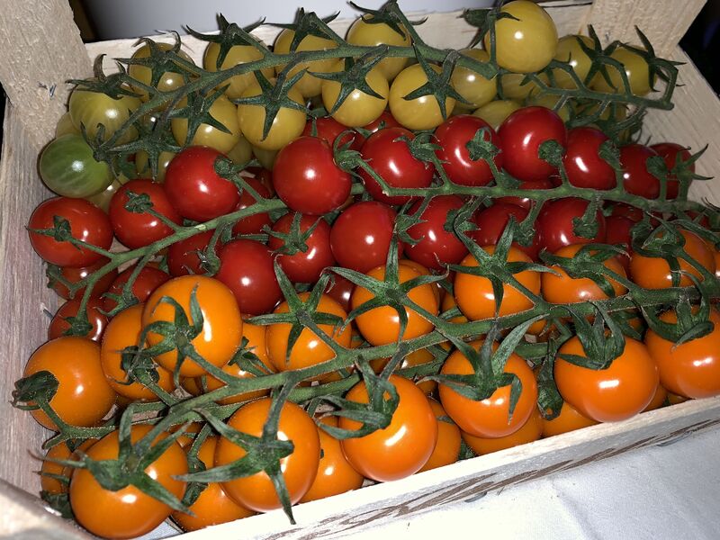 Kirschtomaten