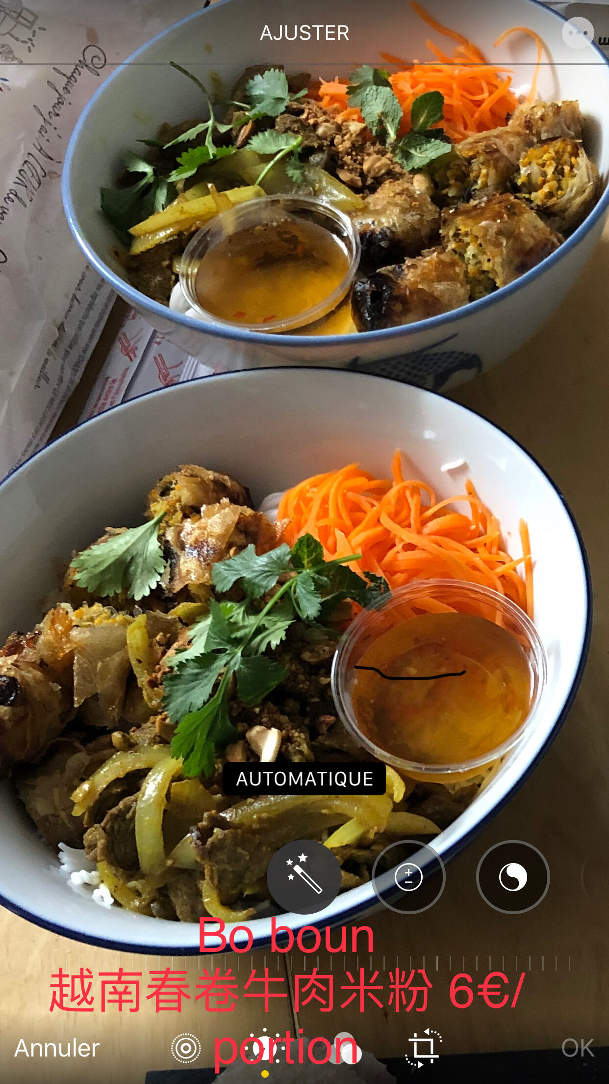 Bo boun 越南春卷牛肉米粉 9 € portion 