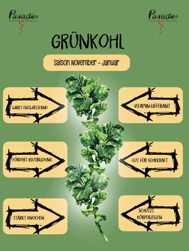 Der Star des Novembers: Grünkohl. Fakten von Herkunft über Pflanzung bis hin zur gesunden Wirkung findet Ihr unter „über uns“