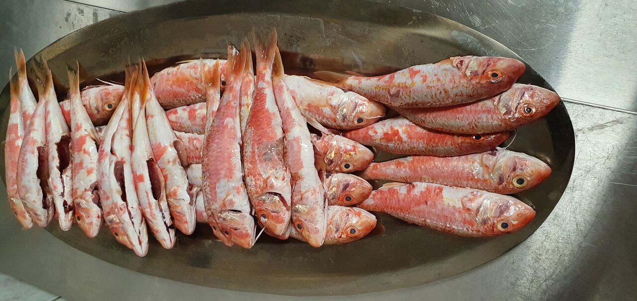Spécialisés dans les fruits de mer et le poisson, voici un parfait exemple du poisson frais que nous proposons.