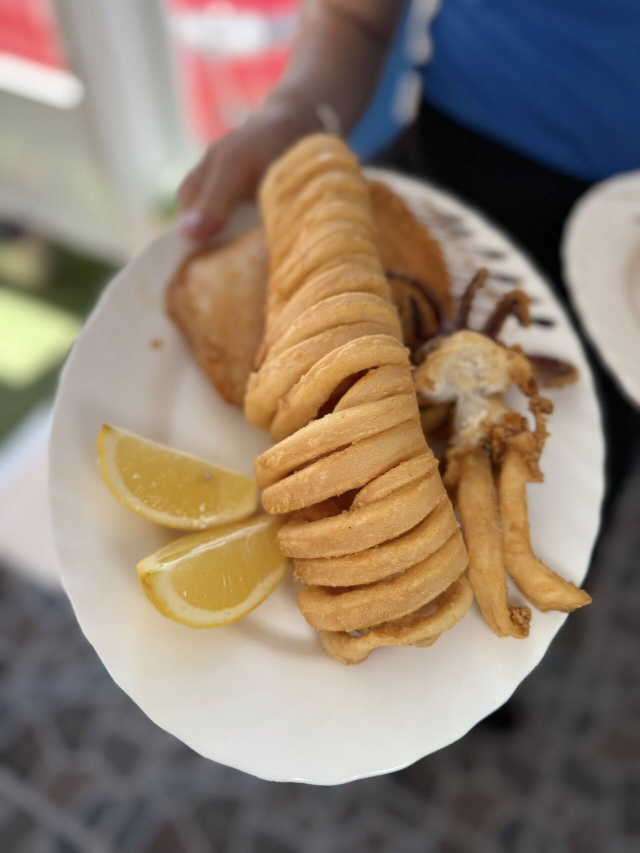 CALAMAR SAHARIANO 06