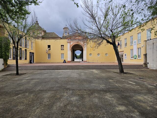 Acceso Alma Mater Terraza
