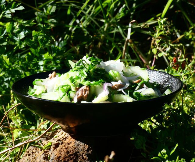 de la fraîcheur pour vous accompagnez 