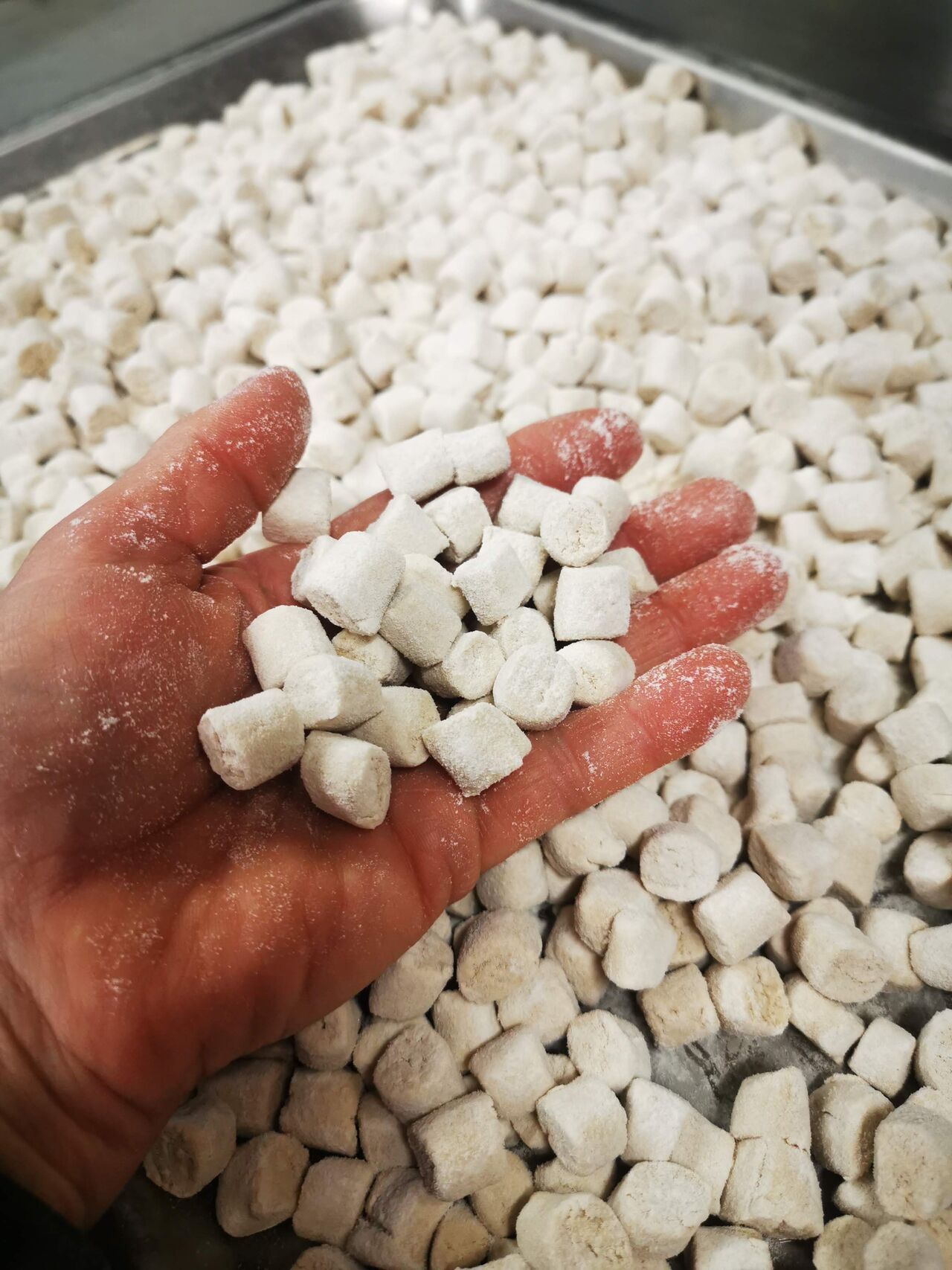 Pasta fresca di nostra produzione 