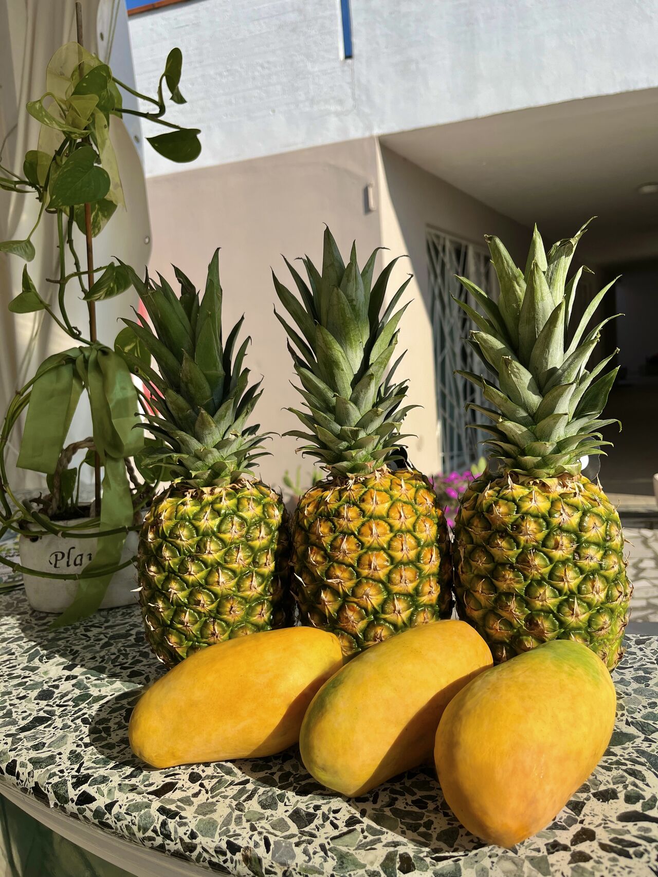 Special imported tropical fruit 