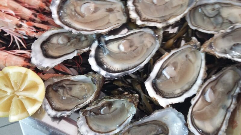 les huîtres du vivier