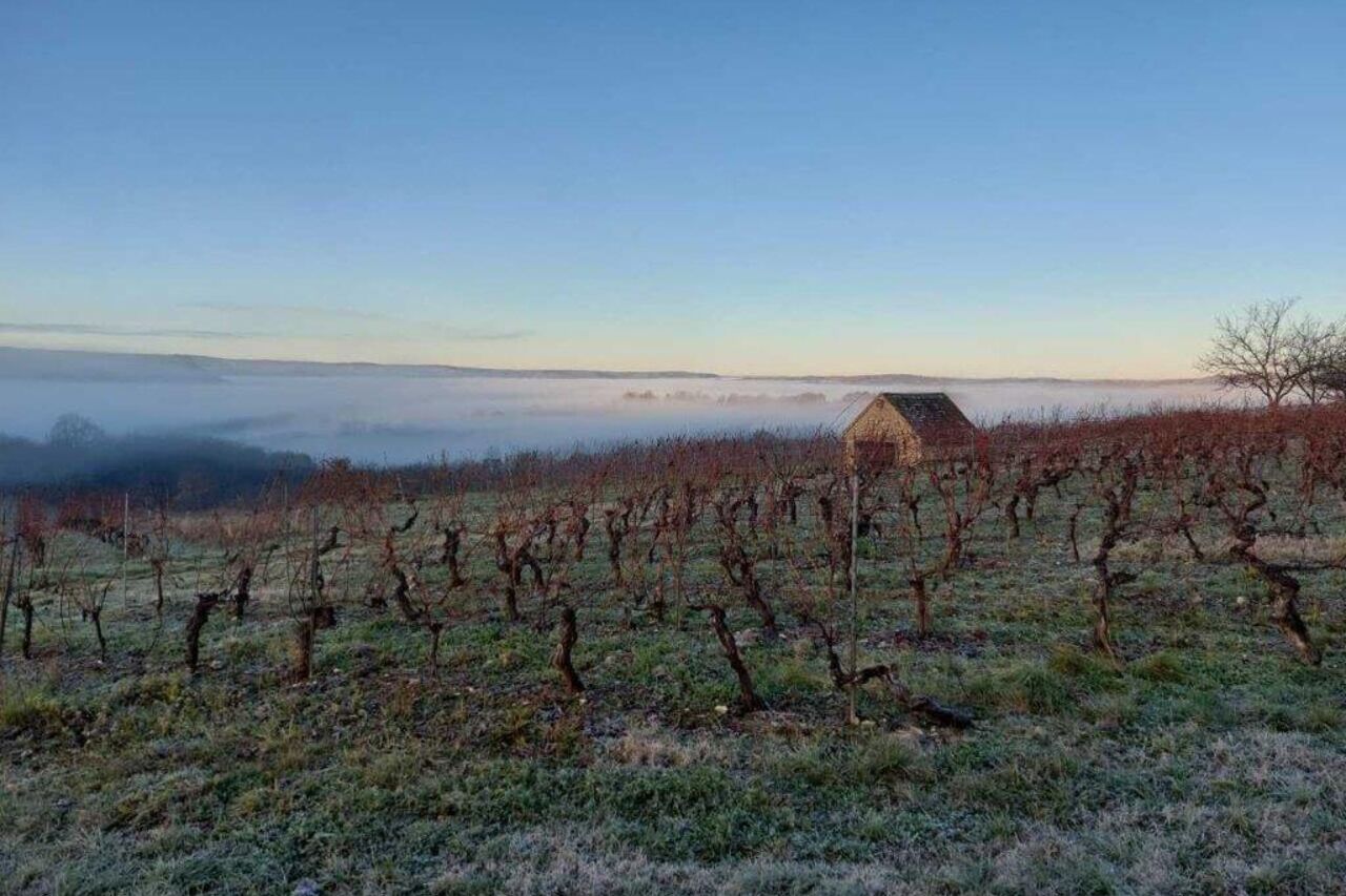 Gîtes Domaine d'Espalieu