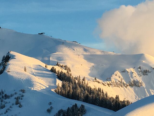 Vue montagne - Demoiselle de Saix 