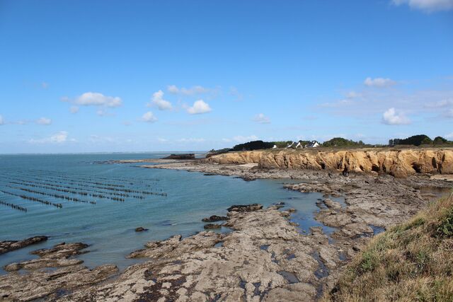 Une partie de nos parcs à moules, au Bile.