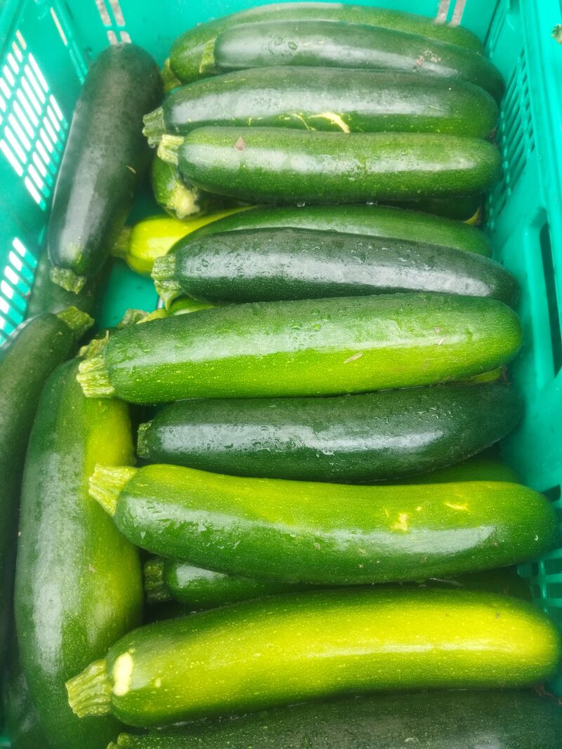 Courgettes 1.50€ le kg 