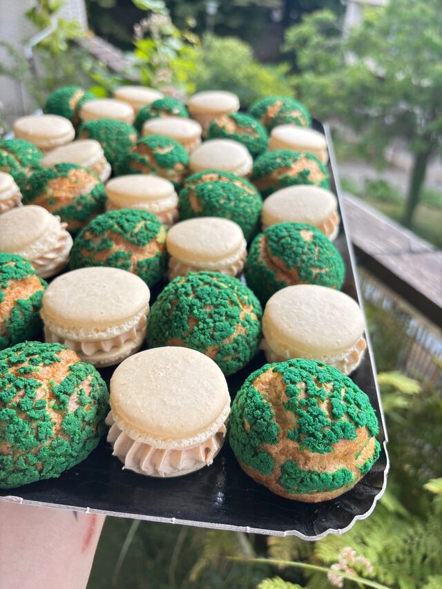 Macaron praliné et choux à la pistache
