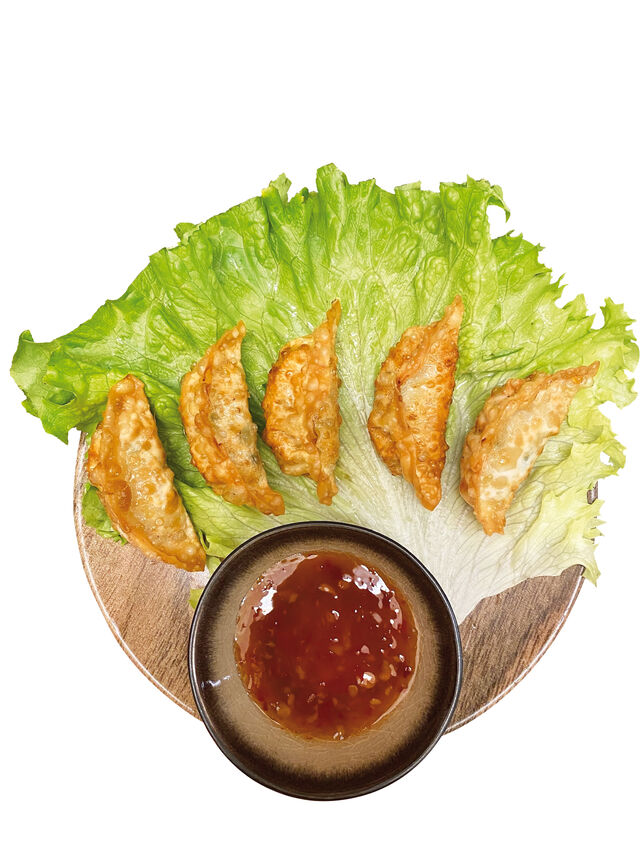 Gyoza aux poulet 