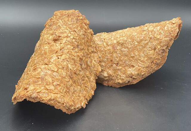 Grosse tuile aux amandes.