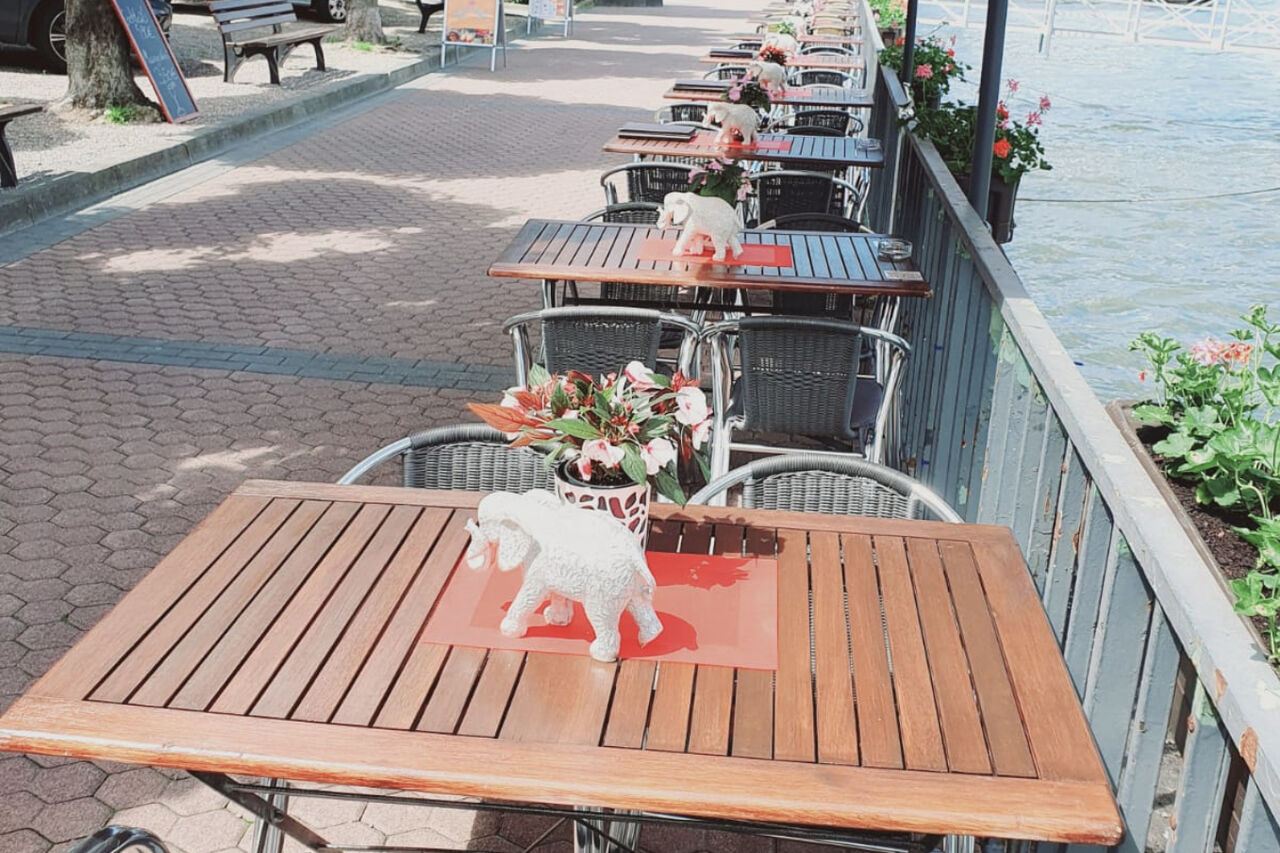 Die Sonne am Rhein genießen!