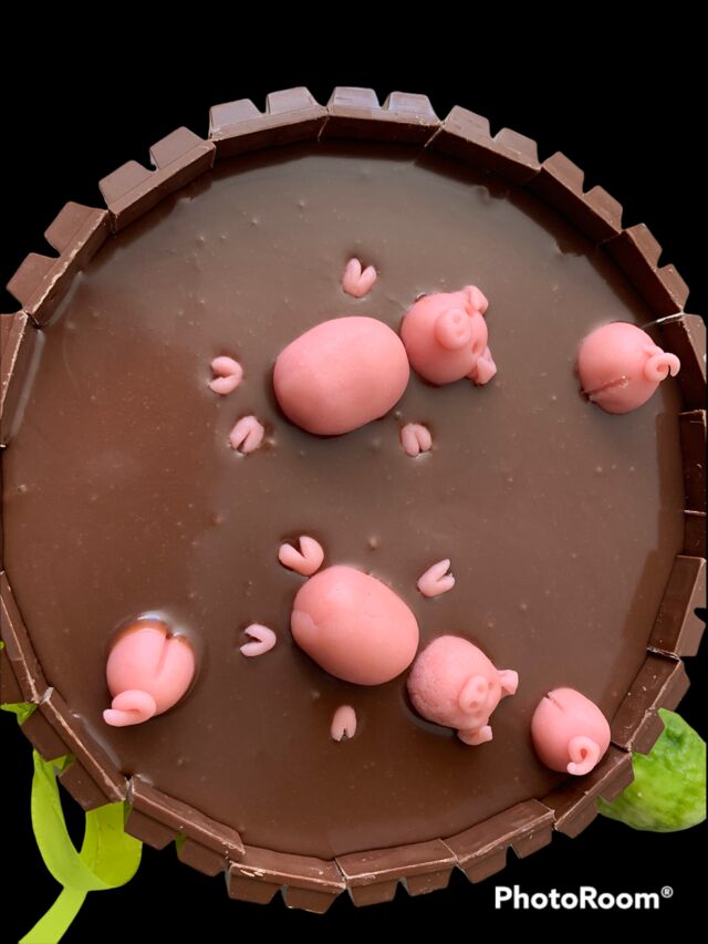 Marre aux cochons
Biscuit génoise chocolat mousse chocolat lait et insert crémeux chocolat noir avec billes croustillantes 
