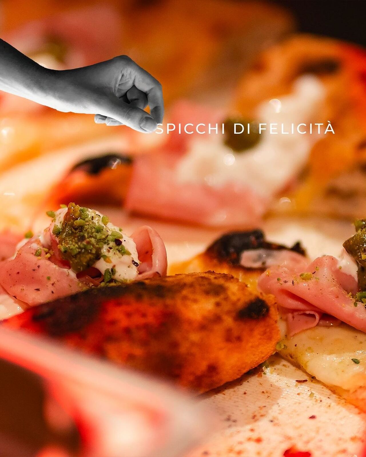 ✨✨🎉 𝐏𝐫𝐨𝐦𝐨𝐳𝐢𝐨𝐧𝐞 𝐒𝐩𝐞𝐜𝐢𝐚𝐥𝐞!🎉✨✨