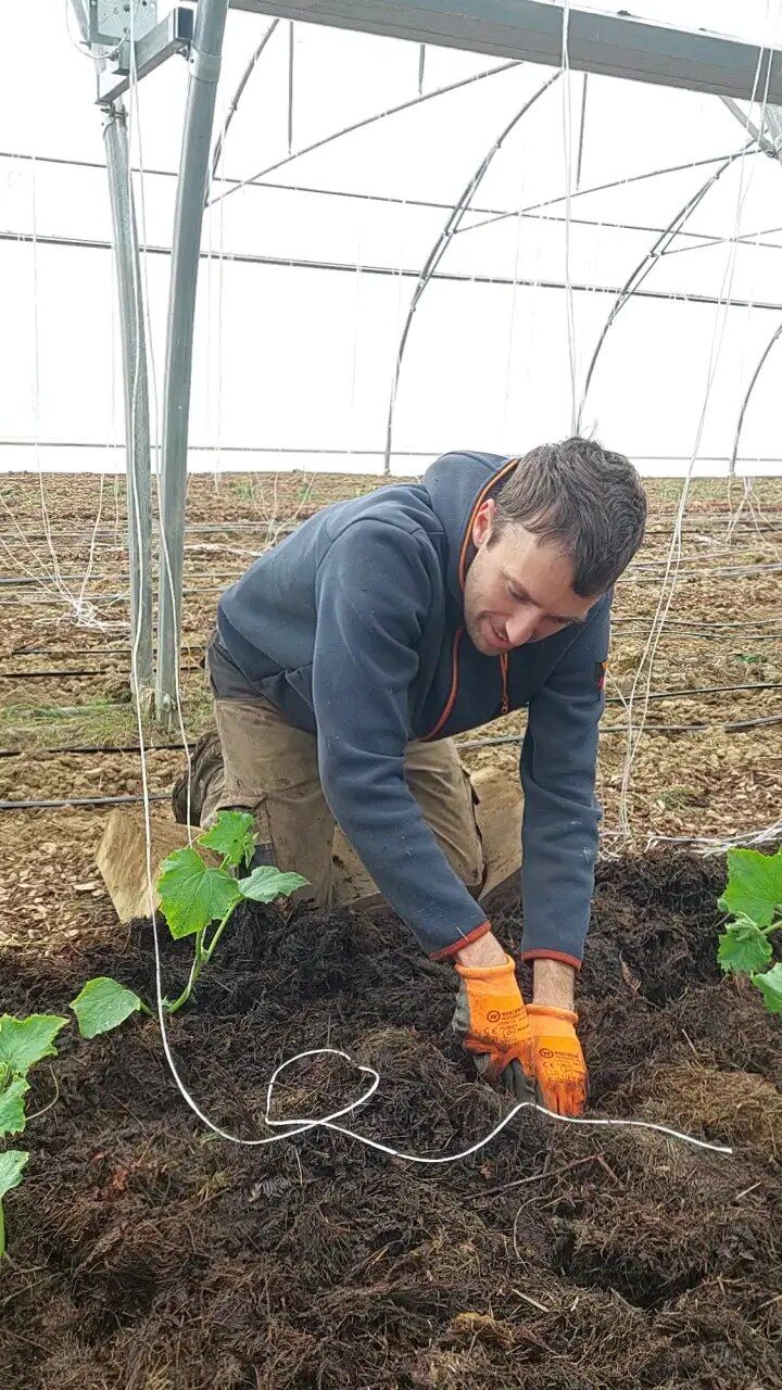 Domaine de Permavillam. Des légumes et fruits cultivés avec passion et conviction par Rémi.