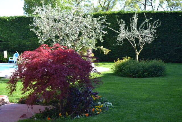 Giardino