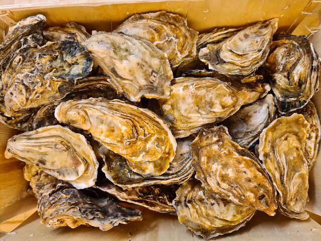 Huîtres fines de claires N°3
Marennes-Oléron