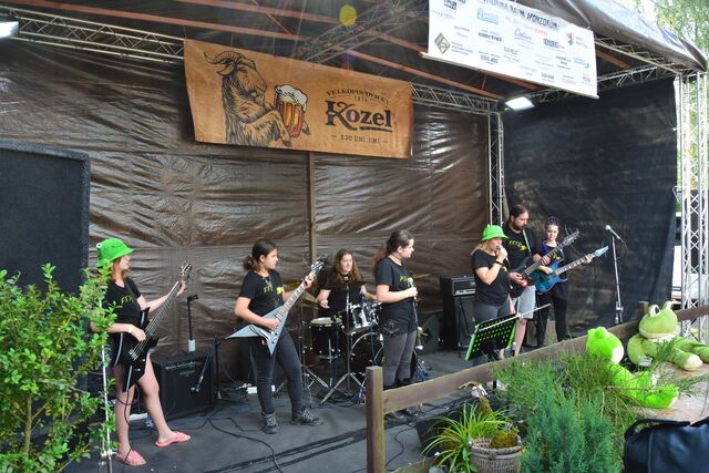 IV.ROCK FEST - ŽÁBY Z GARÁŽE