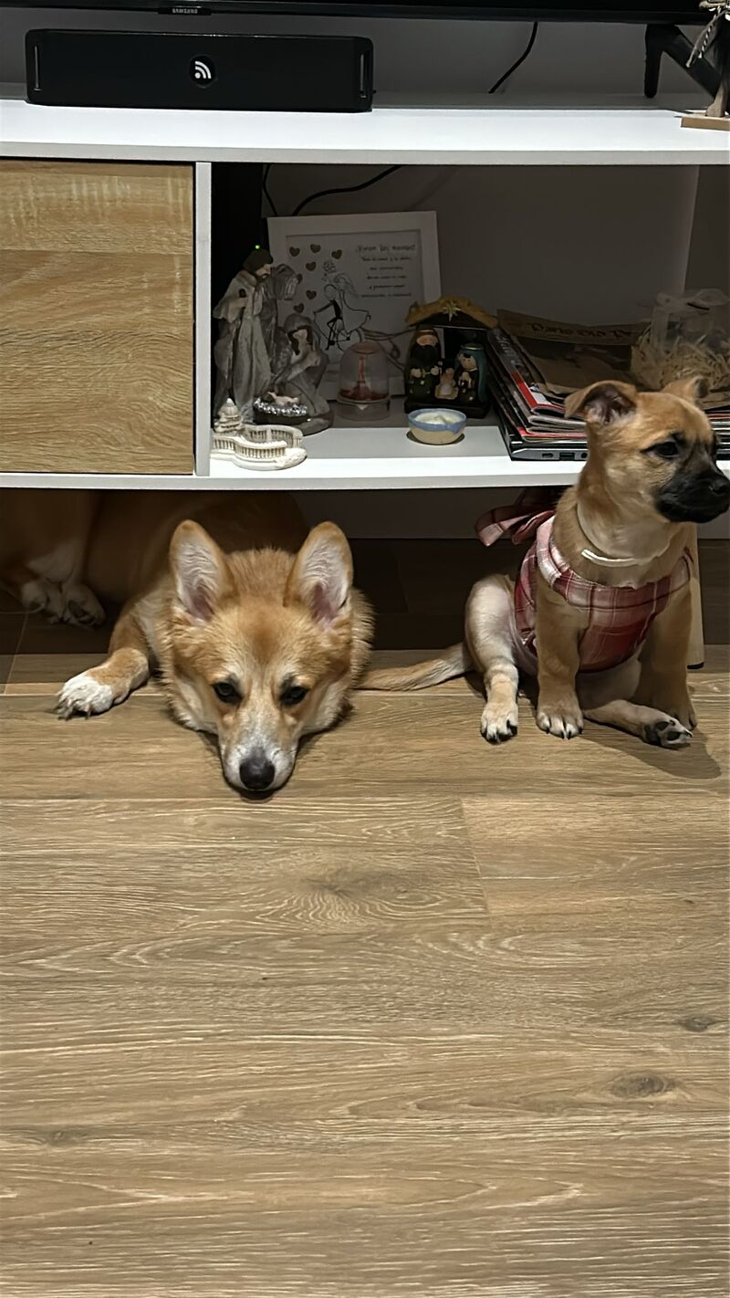 Olivia y Amélia 💕