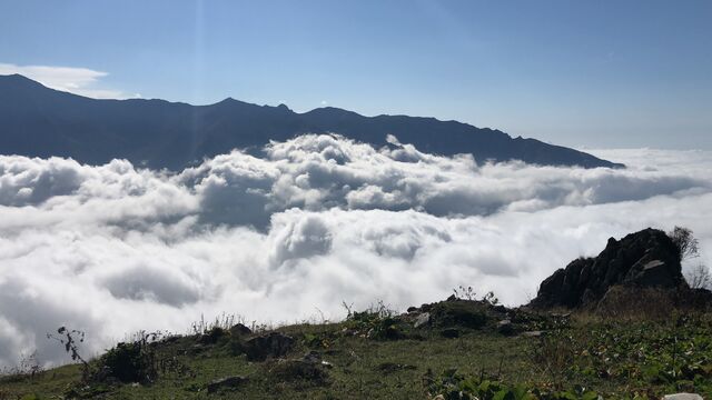Arhavi Yaylaları
