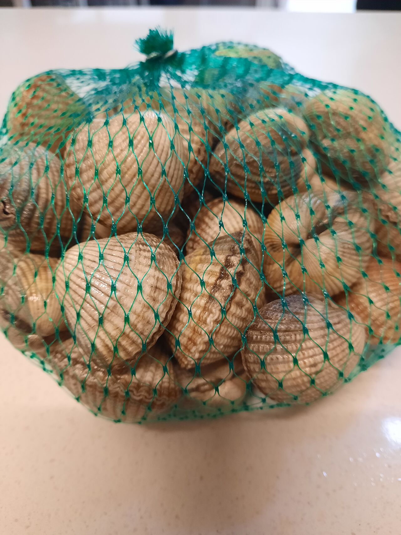 Berberechos gallegos listos para consumir 