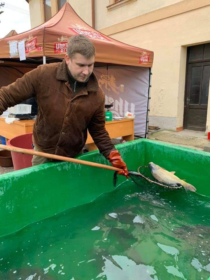 Vánoční prodej kapříků