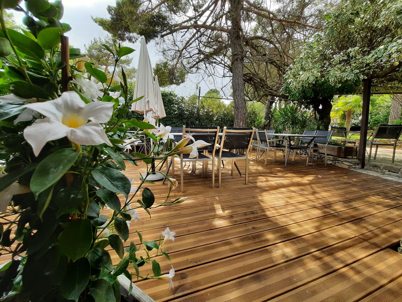 Nouvelle terrasse d'été